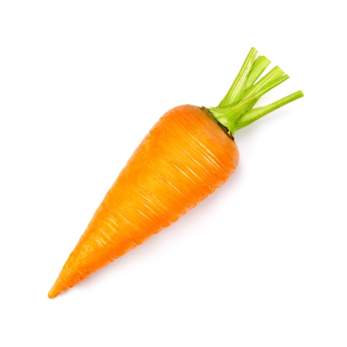 Carrot
