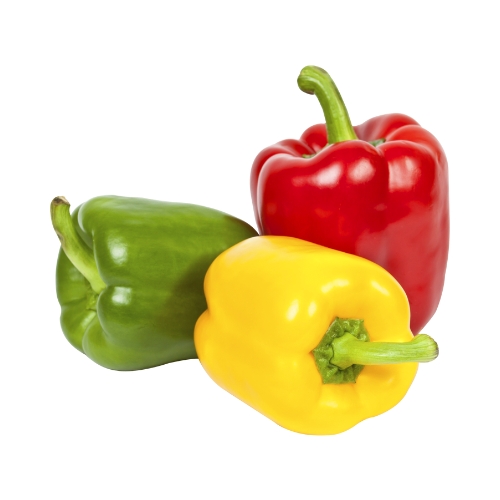 Capsicum & Chili